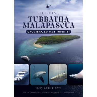 Tubbataha e Malapascua 2026 - Un fantastico viaggio alla scoperta di reef remoti e squali volpe!